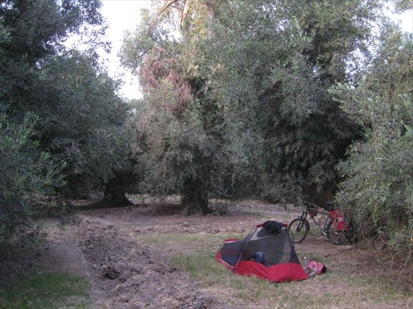 Бивак в оливковом саду